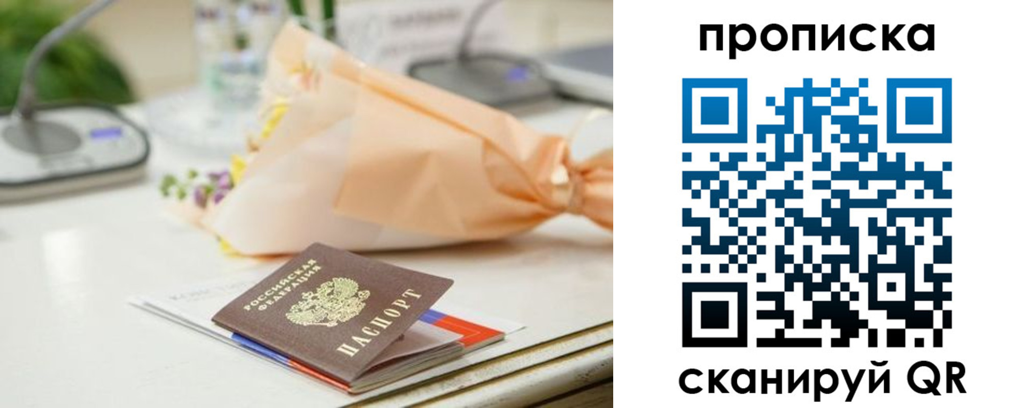 прописка гарантия в Димитровграде